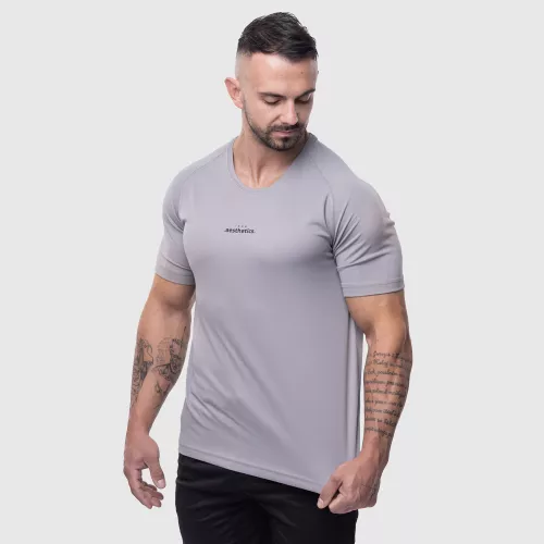 Pánske športové tričko Iron Aesthetics Training, sivé
