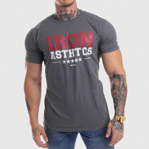 Pánske fitness tričko Iron Aesthetics VARSITY, sivé