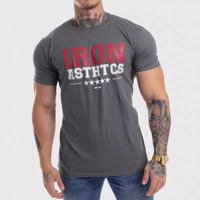 Pánske fitness tričko Iron Aesthetics VARSITY, sivé-1