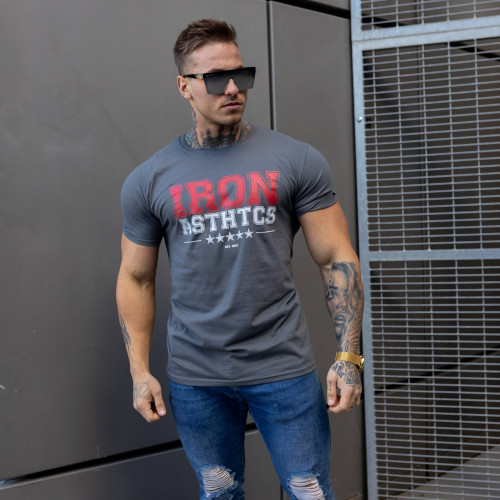 Pánske fitness tričko Iron Aesthetics VARSITY, sivé