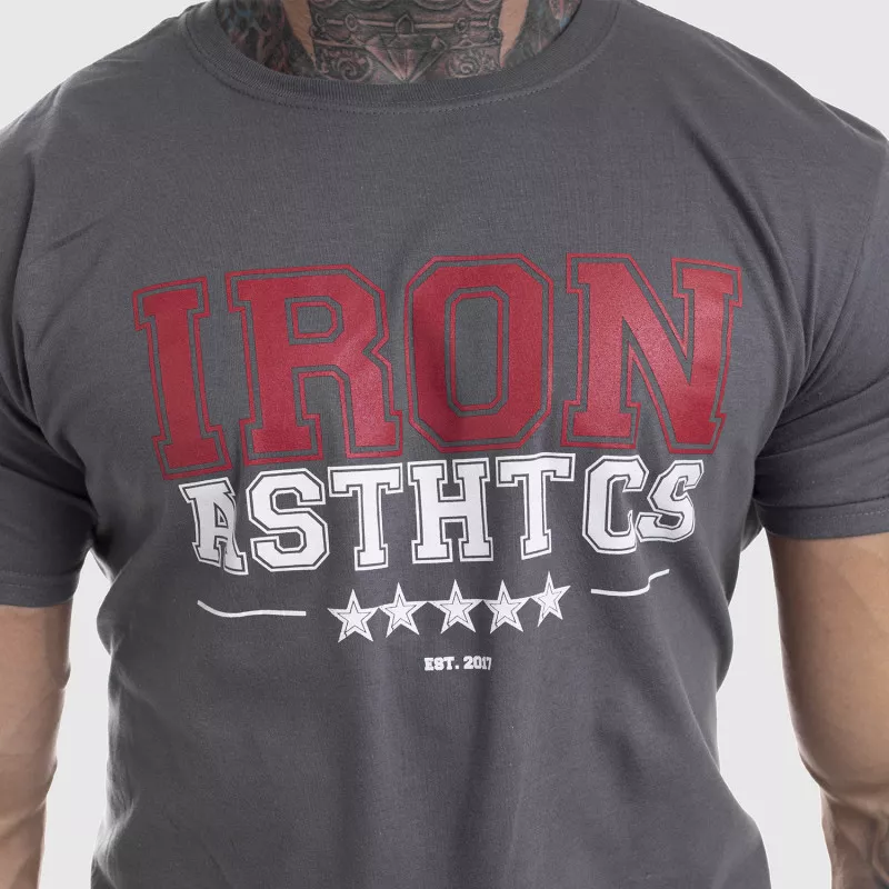 Pánske fitness tričko Iron Aesthetics VARSITY, sivé-3
