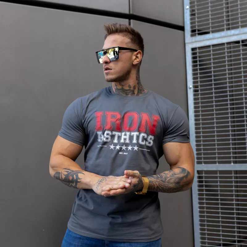 Pánske fitness tričko Iron Aesthetics VARSITY, sivé-6