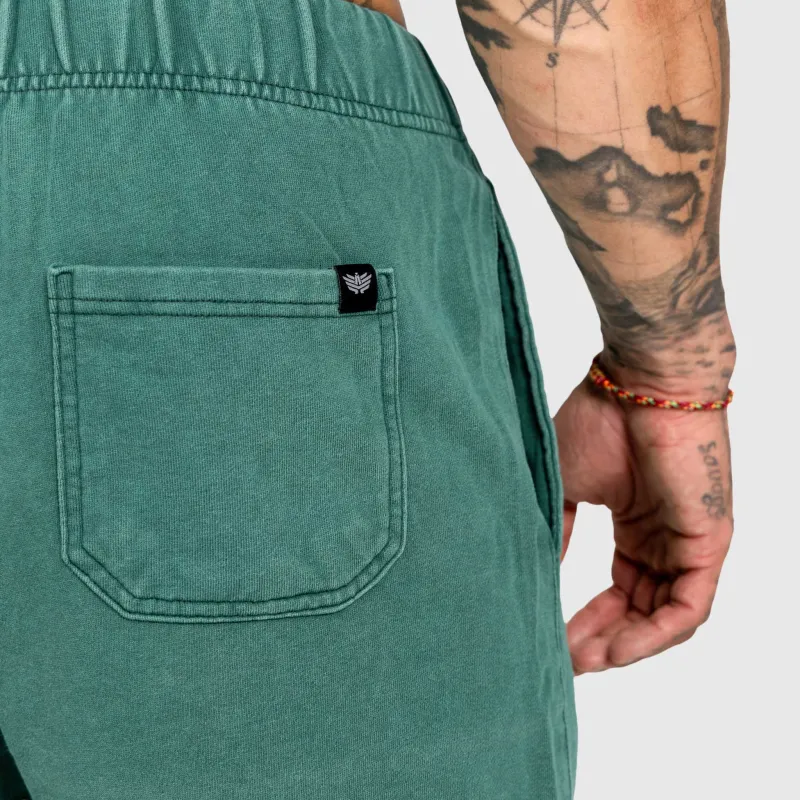 Pánske kraťasy Iron Aesthetics ASTHX, washed green-15