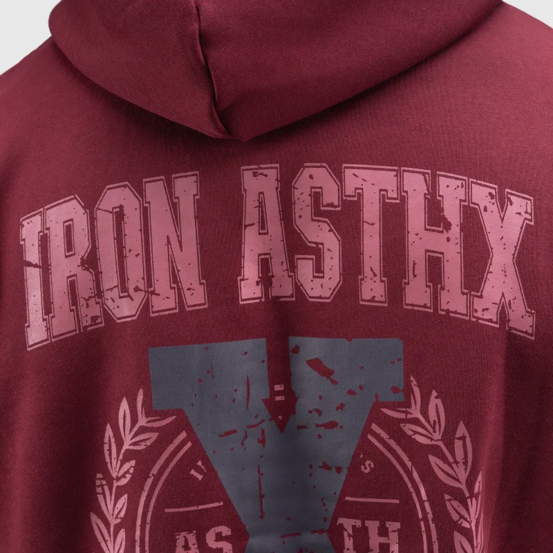 Pánska tepláková súprava Iron Aesthetics X-Society, bordová-14