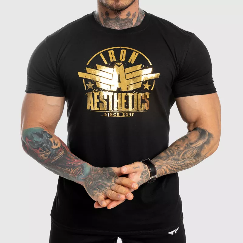 Pánske fitness tričko Iron Aesthetics Force, black&gold-1