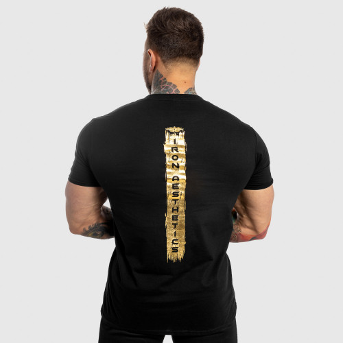 Pánske fitness tričko Iron Aesthetics Force, black&gold