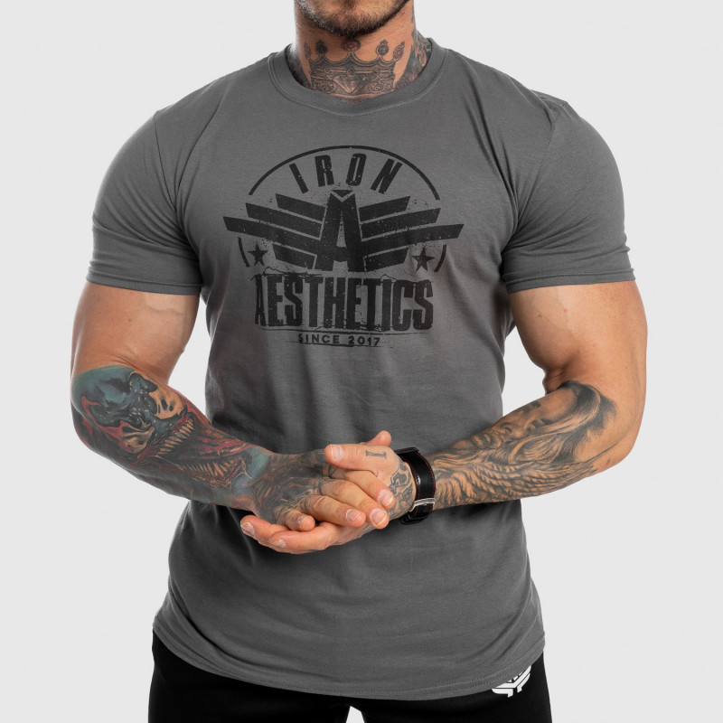 Pánske fitness tričko Iron Aesthetics Force, sivé-1