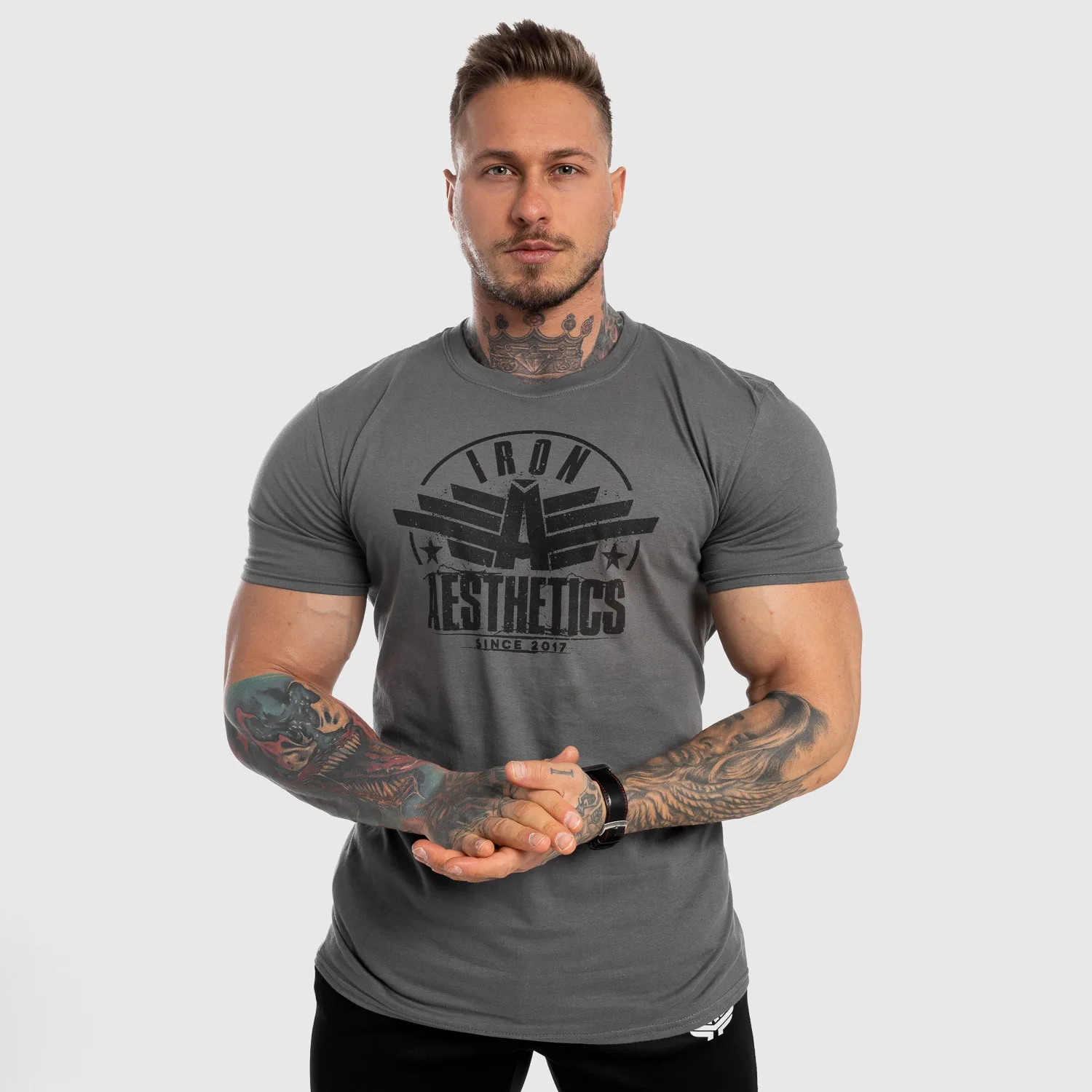 Pánske fitness tričko Iron Aesthetics Force, sivé-1
