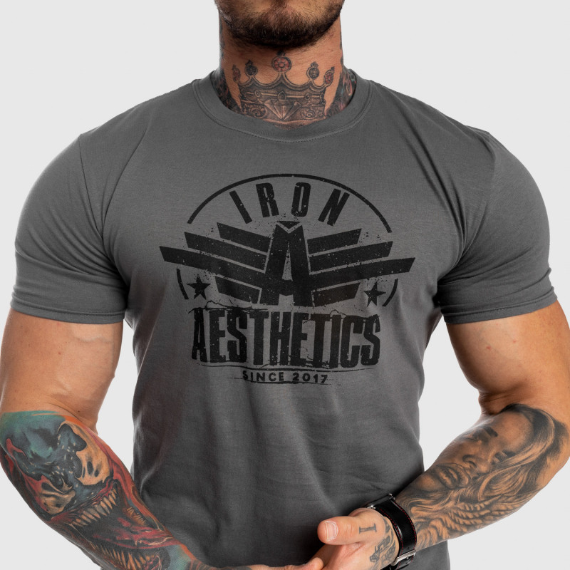 Pánske fitness tričko Iron Aesthetics Force, sivé-3