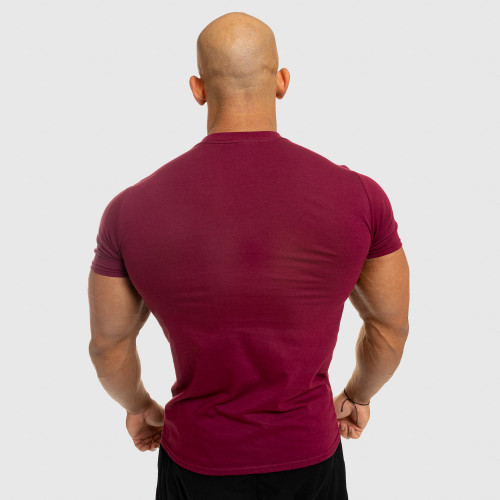Pánske fitness tričko Iron Aesthetics Standard, bordové