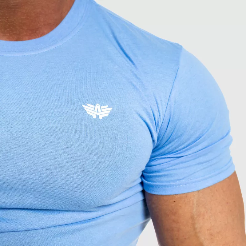 Pánske fitness tričko Iron Aesthetics Standard, modré-2