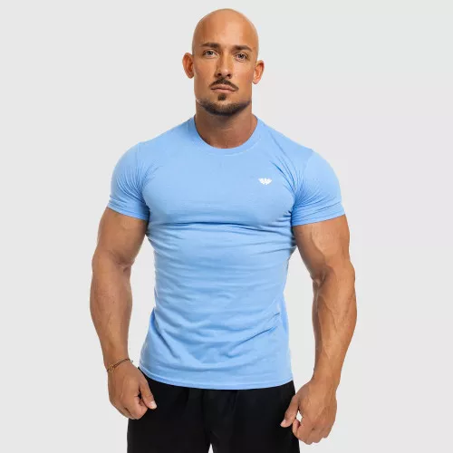 Pánske fitness tričko Iron Aesthetics Standard, modré