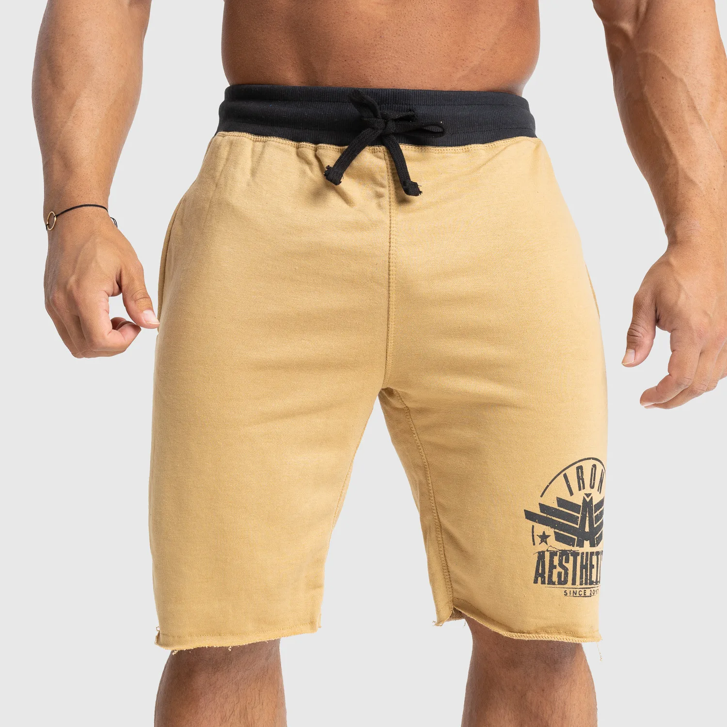 Pánske teplákové kraťasy Iron Aesthetics Force, pieskové-1