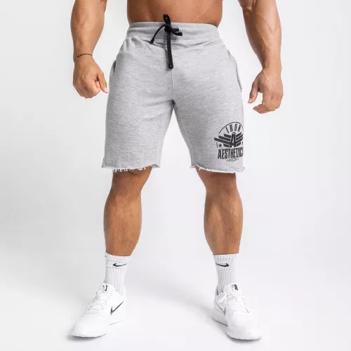 Pánske teplákové kraťasy Iron Aesthetics Force, sivé