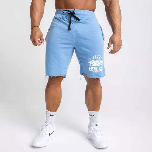 Pánske teplákové kraťasy Iron Aesthetics Force, svetlo modrá