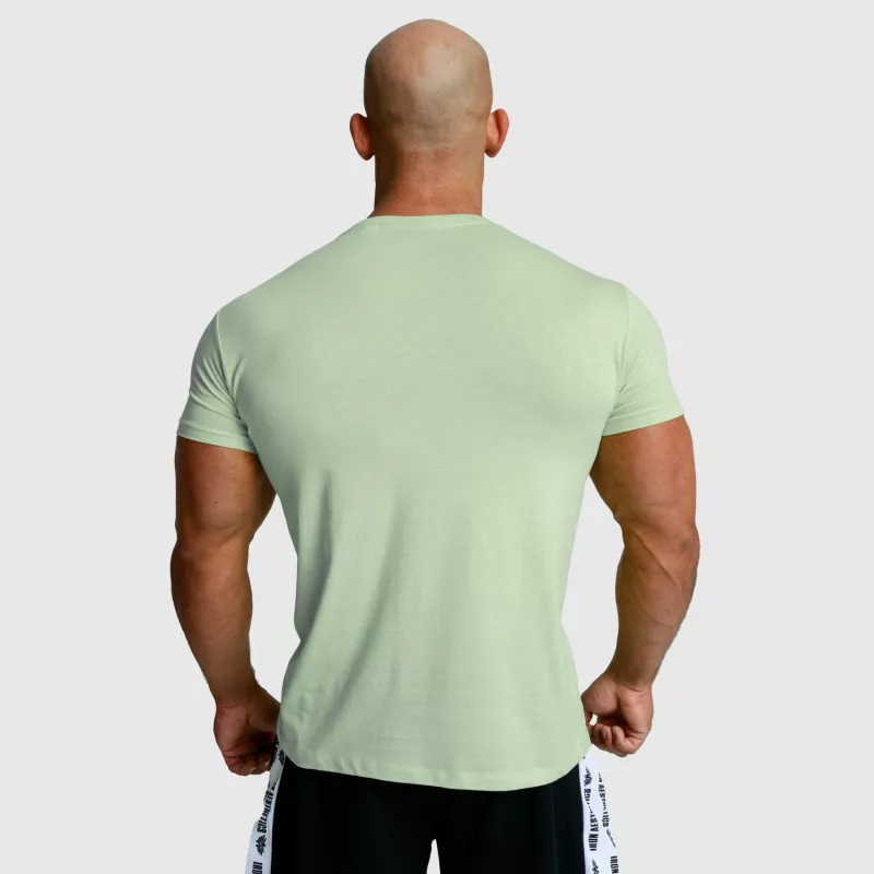 Pánske fitness tričko Iron Aesthetics Splash, zelené sage-4