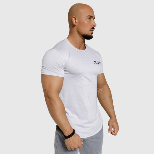 Pánske športové tričko Iron Aesthetics Curve, sivé
