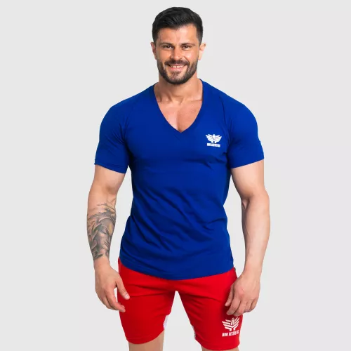 Pánske fitness tričko Iron Aesthetics Original V, modré