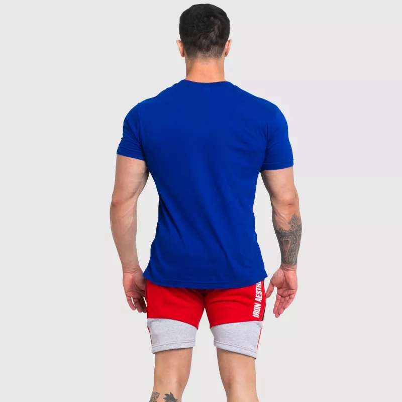 Pánske fitness tričko Iron Aesthetics Original V, modré-7